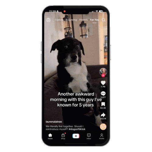 app-design-trends-tiktok.gif