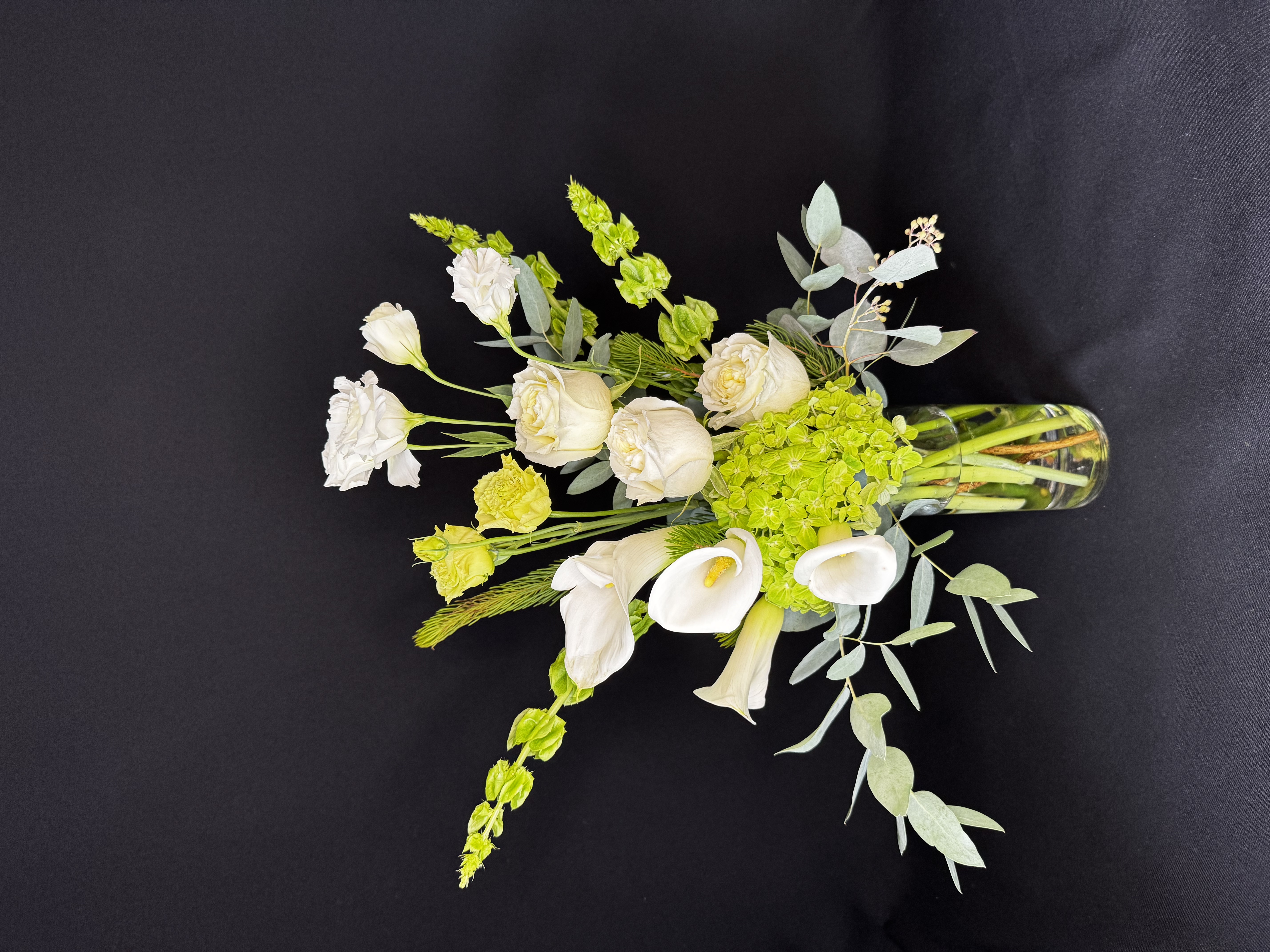 Winter Ivory Elegance