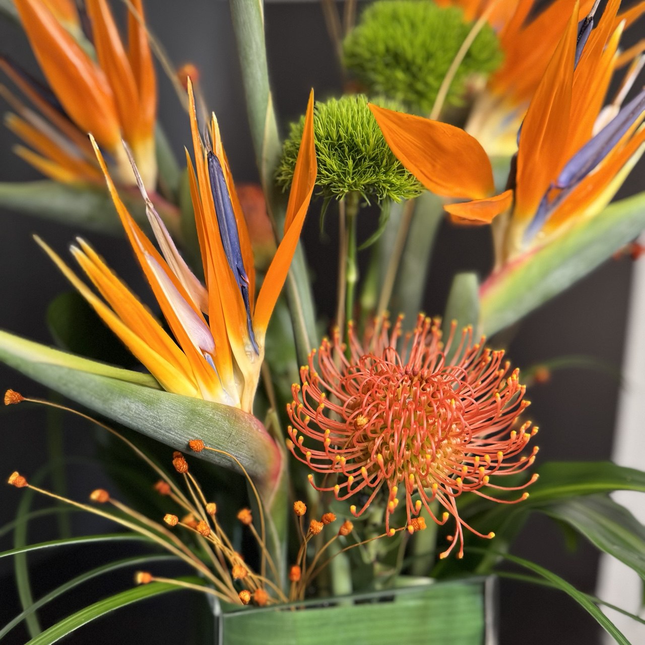 Tropic Arrangements