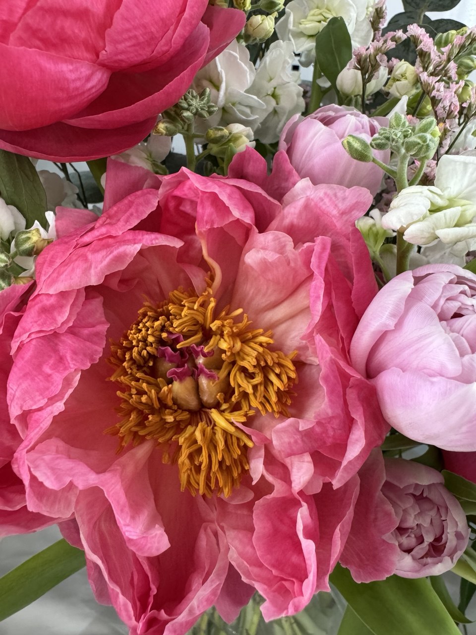 Seasonal Blooms