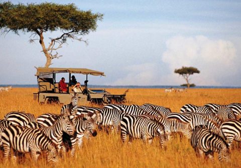 Saruni Game drive