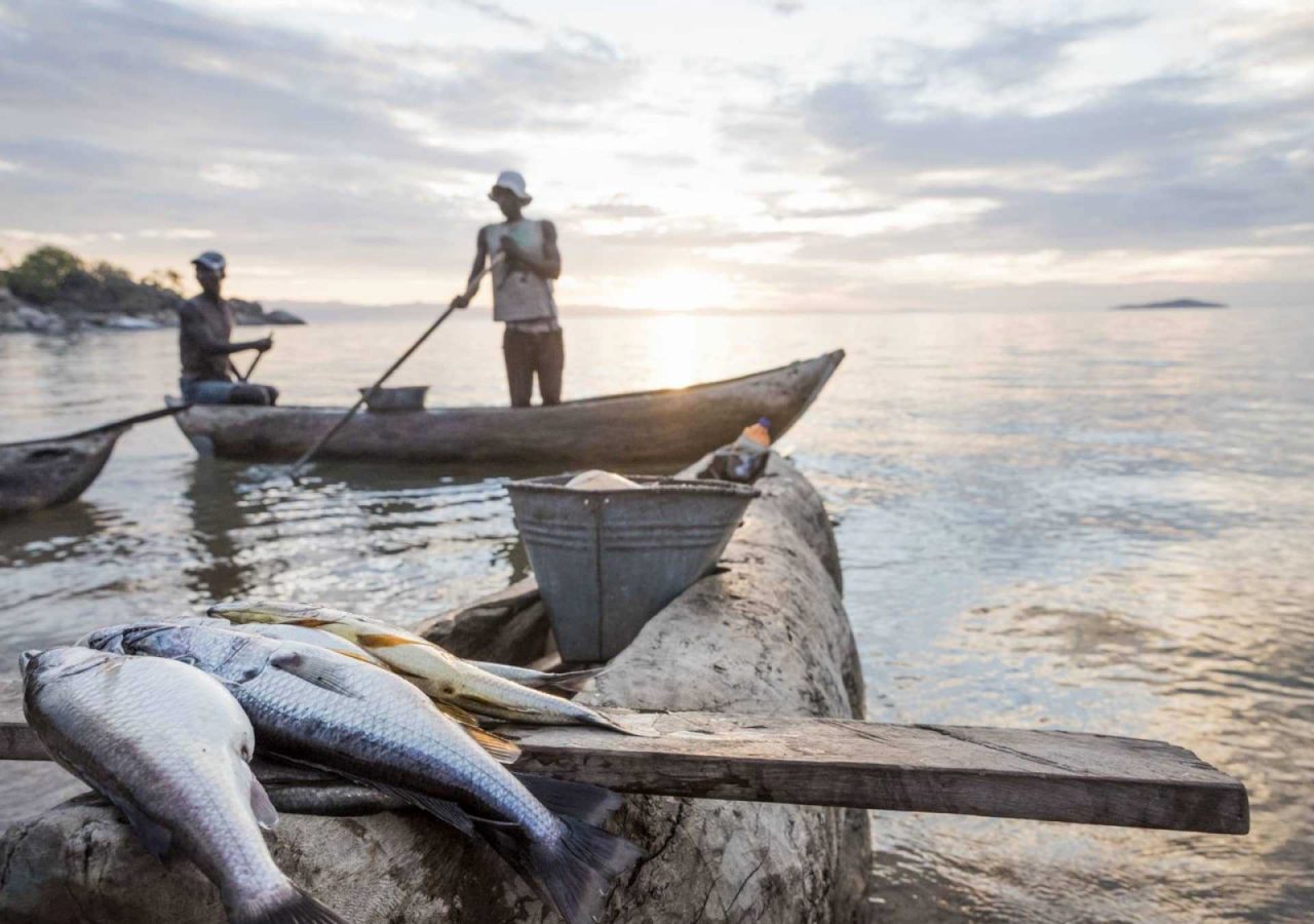 Local fisherman lake malawi mumbo