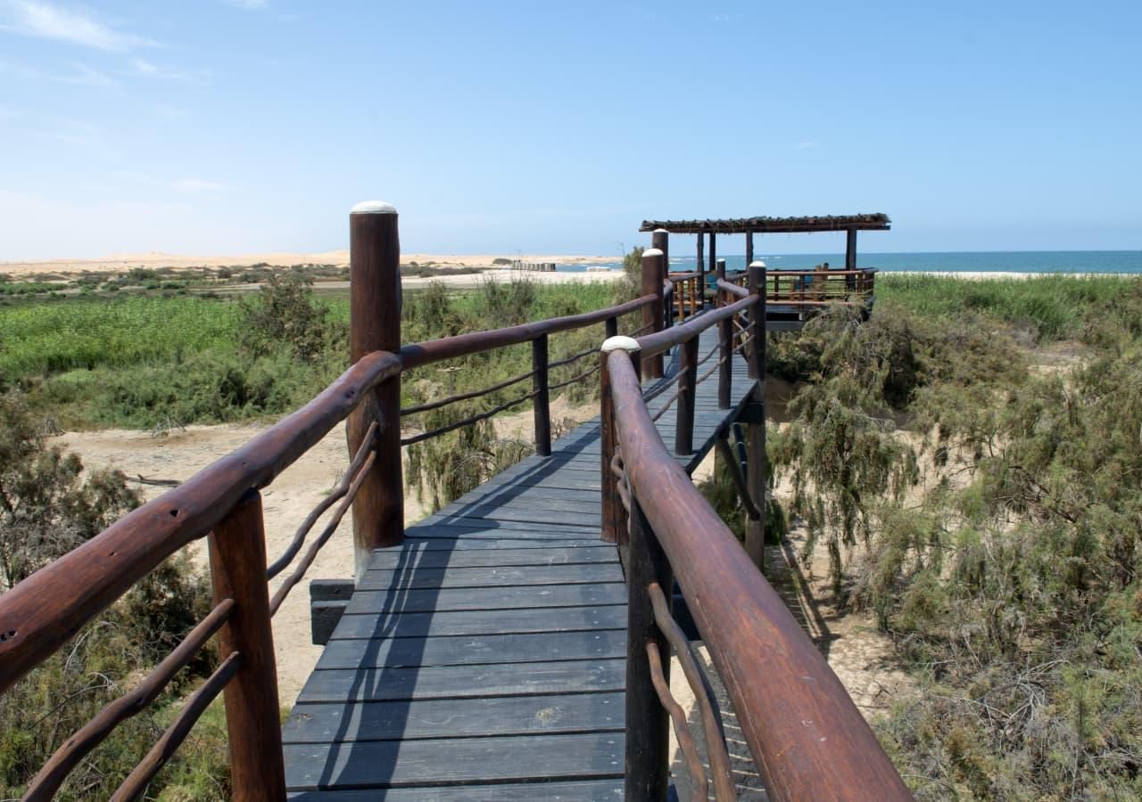 The Stiltz wooden boadwalk