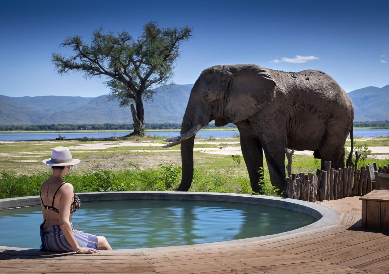 Nyamatusi elephant pool