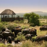 Morukuru Owners House hide overlooking waterhole