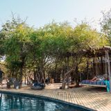 Changa safari camp swimming pool area 1280