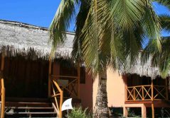 B exterior view of the bungalows