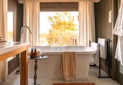 T guest suite bathroom