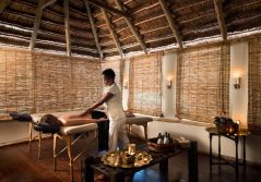 T wellness treatment in the spa