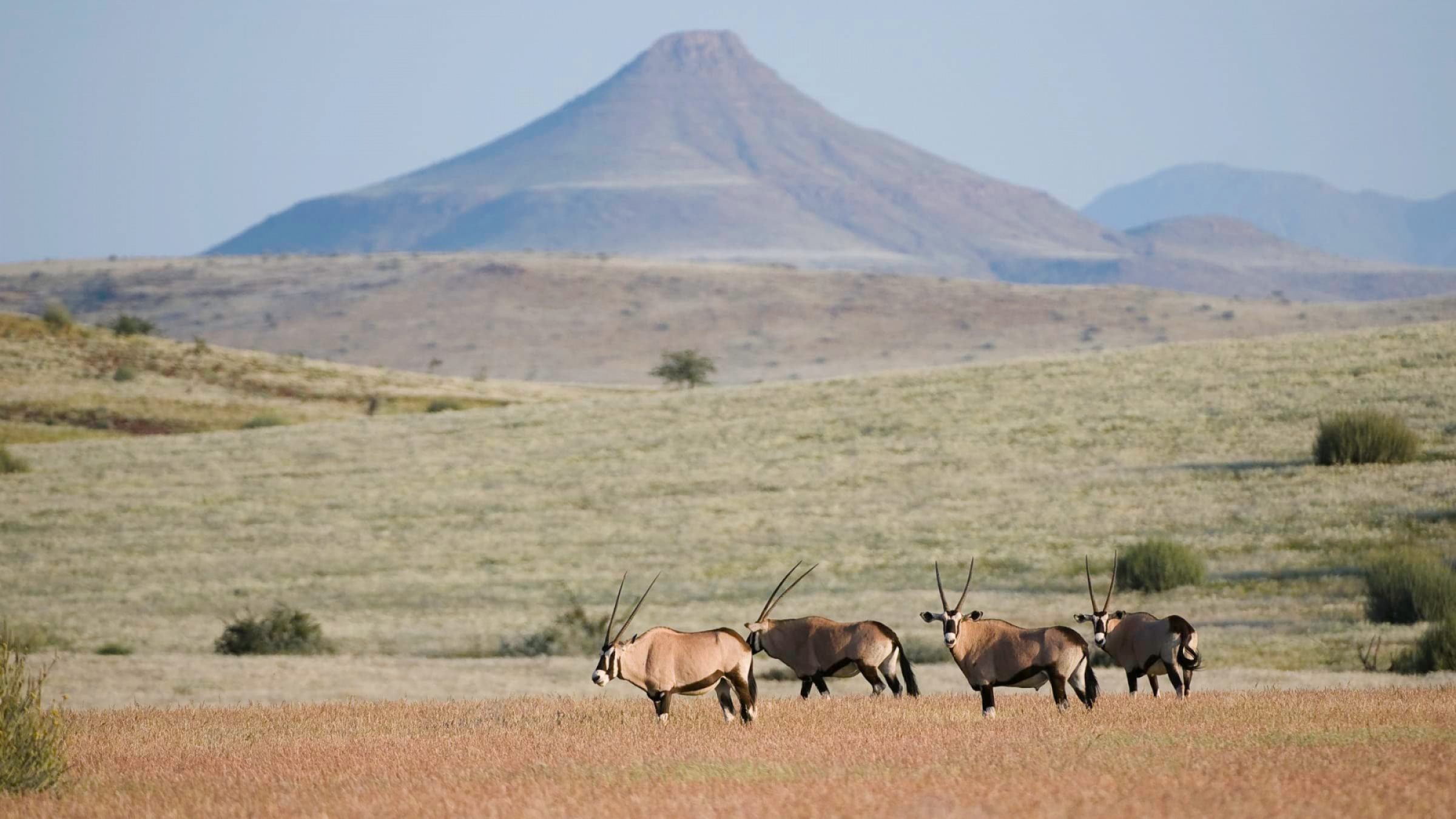 Damaraland Hero