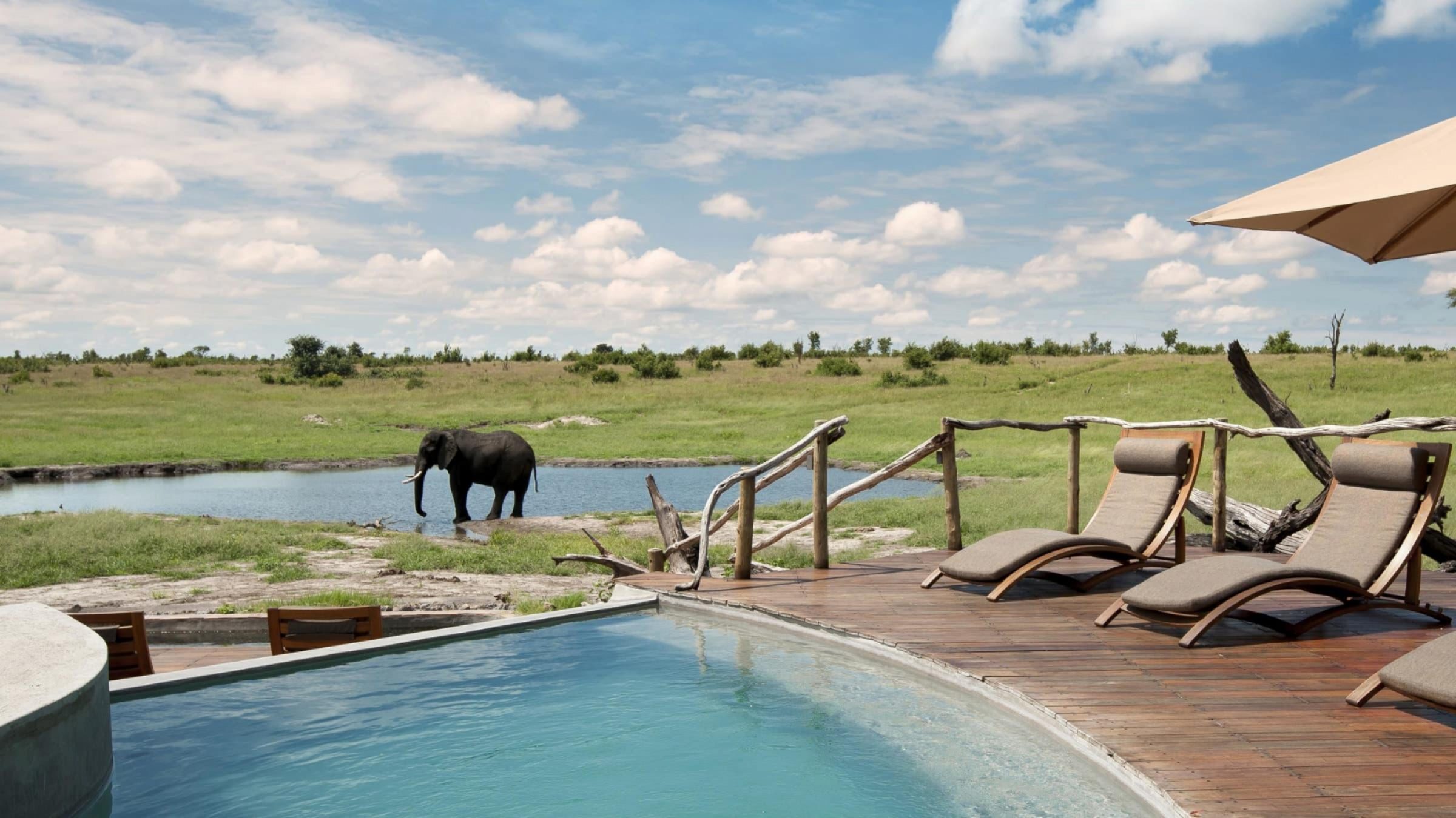Somalisa zim safari beach hero