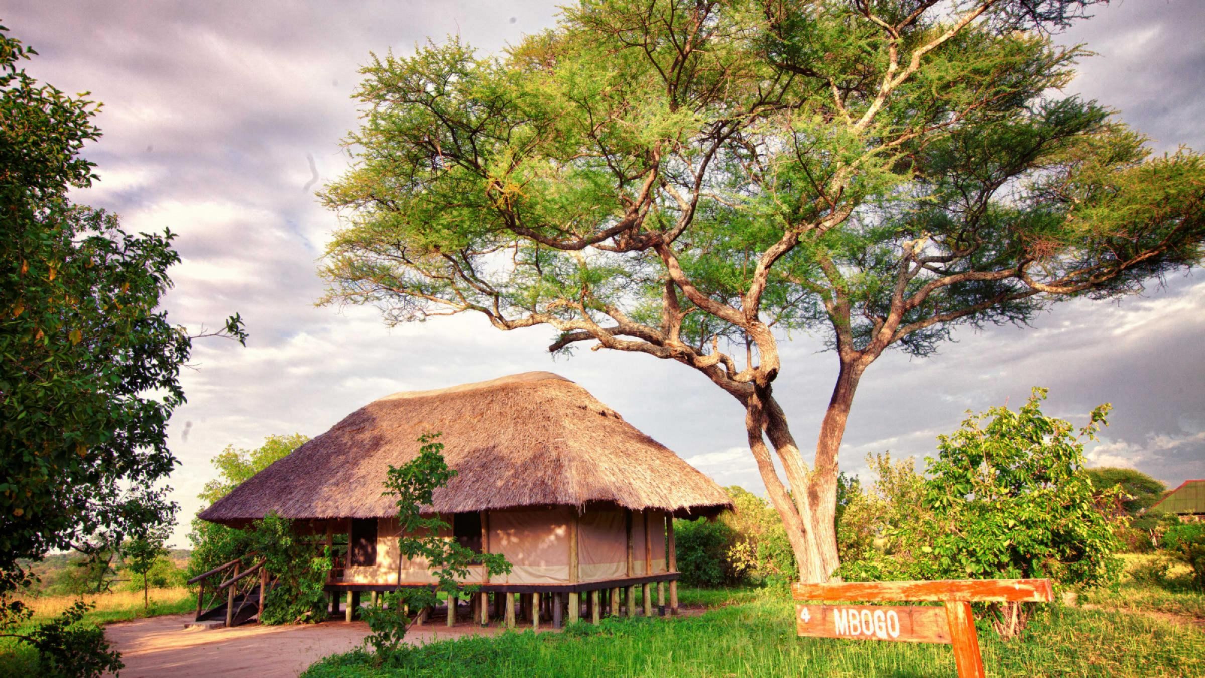 Tarangire River Camp hero