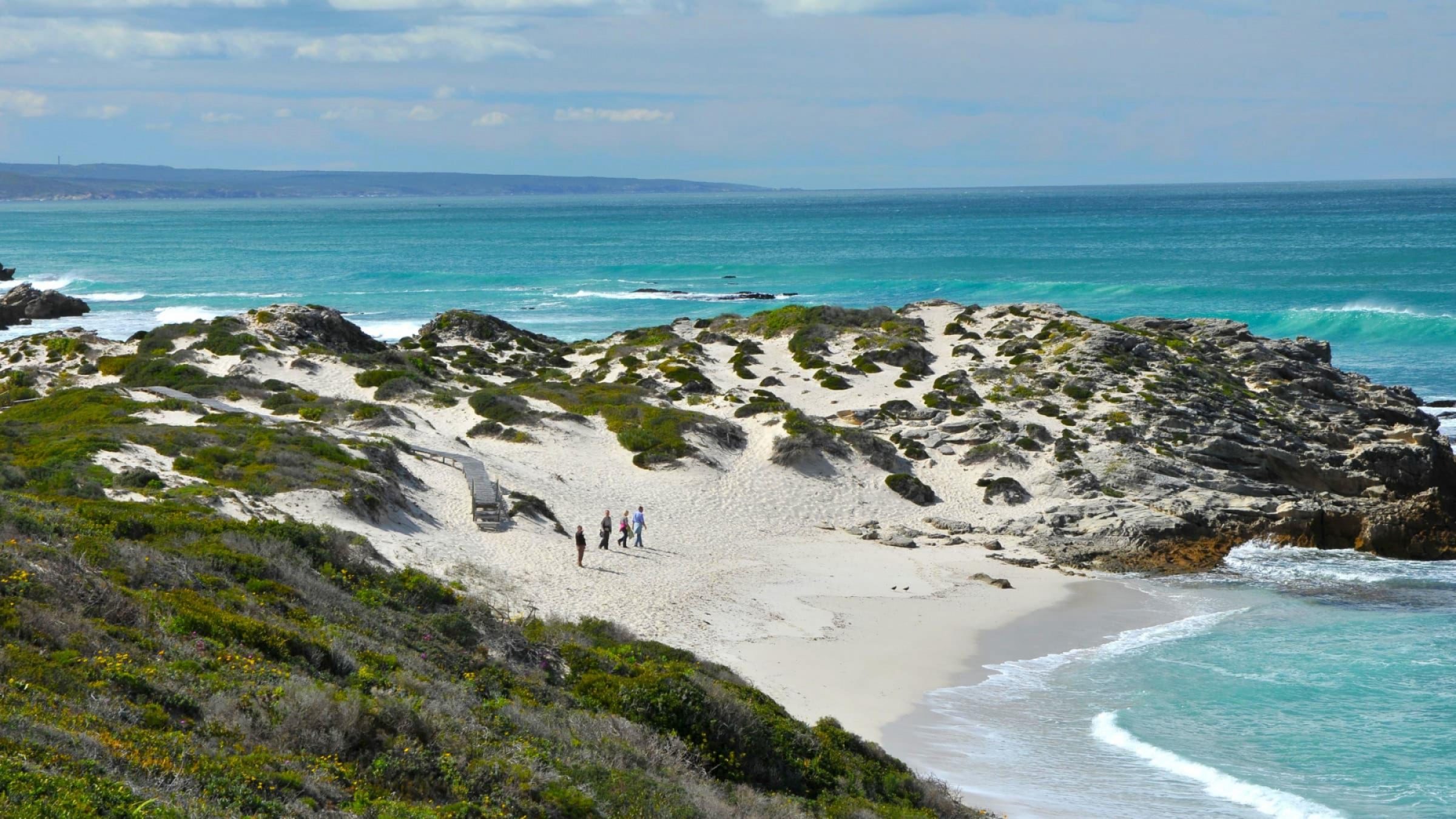 Whale Route inc De Hoop Hero