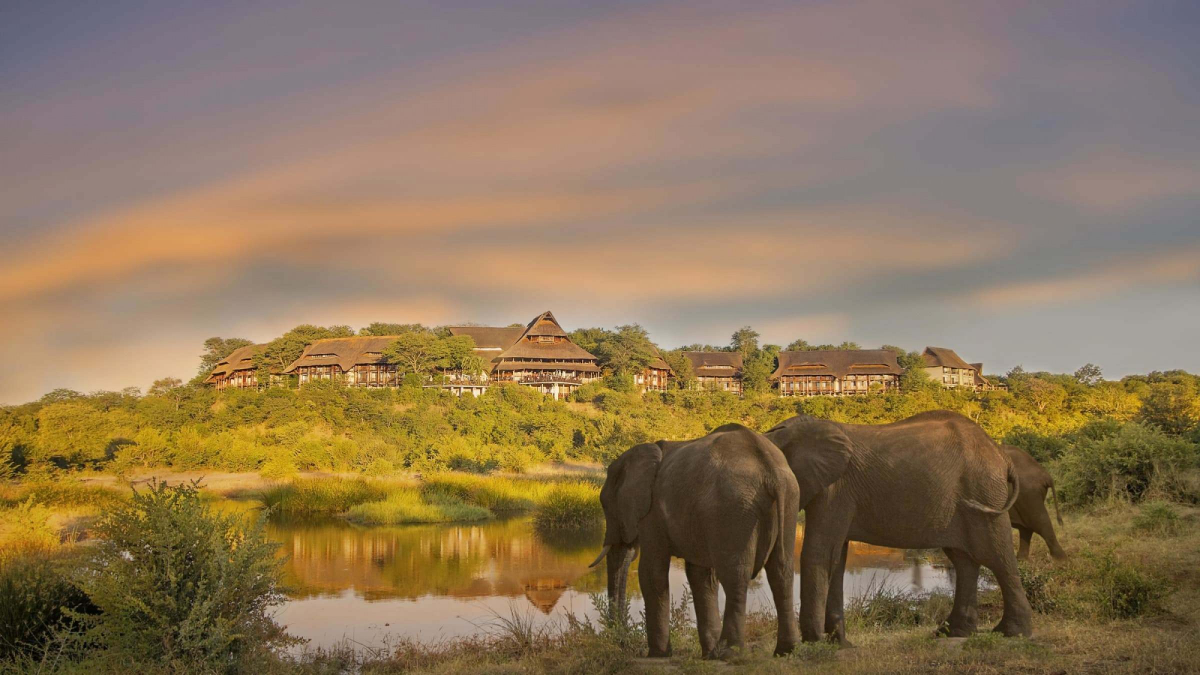 H lodge exterior with elephants