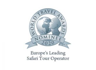 International award image 4