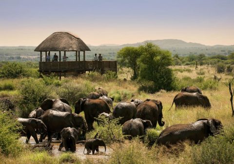 Morukuru Owners House hide overlooking waterhole
