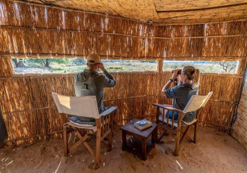 L game viewing hideout