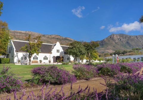 L hotel exterior Steenberg Hotel Vineyards