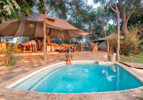 L swimming pool and lounge area