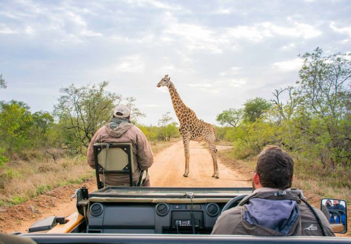 Thornybush game drive first time giraffe