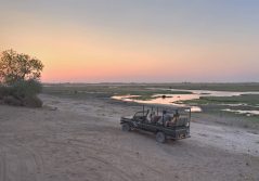 Chobe under canvas game drive 1280