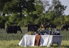 Savuti camp sundowners with the elephants 1280