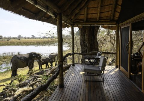 Savuti camp spotting elephants from the verandah 1280
