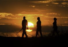 Selinda camp bush walk experience 1280