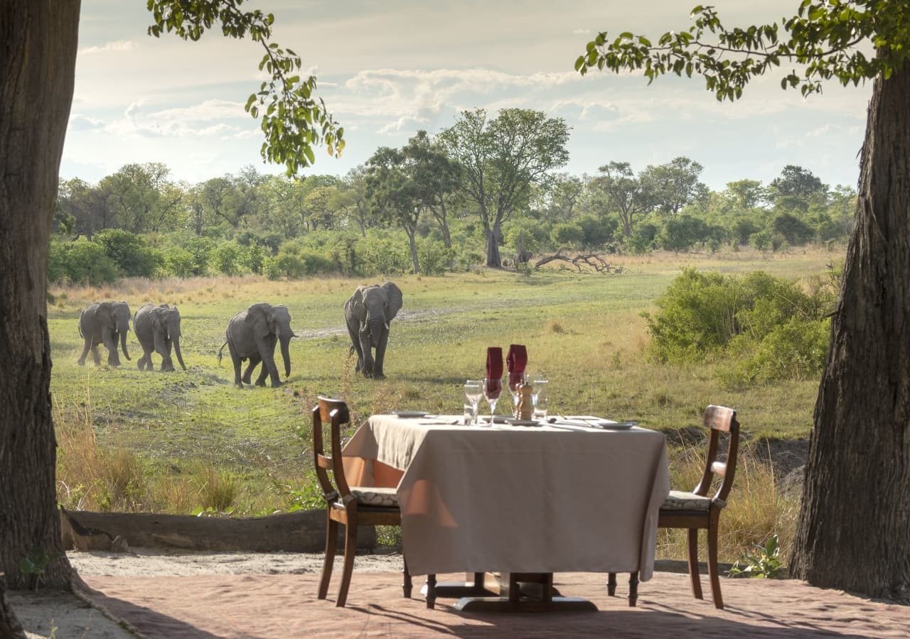 Selinda explorers camp private dinner spotting the elephants 1280