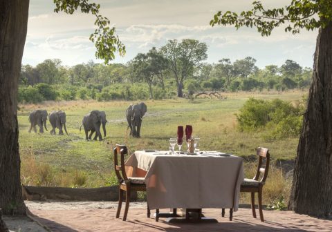 Selinda explorers camp private dinner spotting the elephants 1280