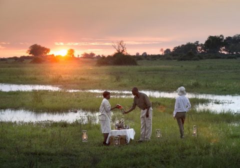 Duba plains camp okavango delta sundowner drinks 1280