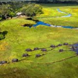 Khwai leadwood camp camp landscape with elephants crossing 1280