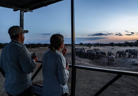 Porini amboseli camp elephant game viewing 1280