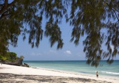 Kinondo kwetu kinondo kiwetu beachfront 1280