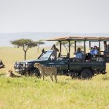 Angama mara cheetah game drive 1280