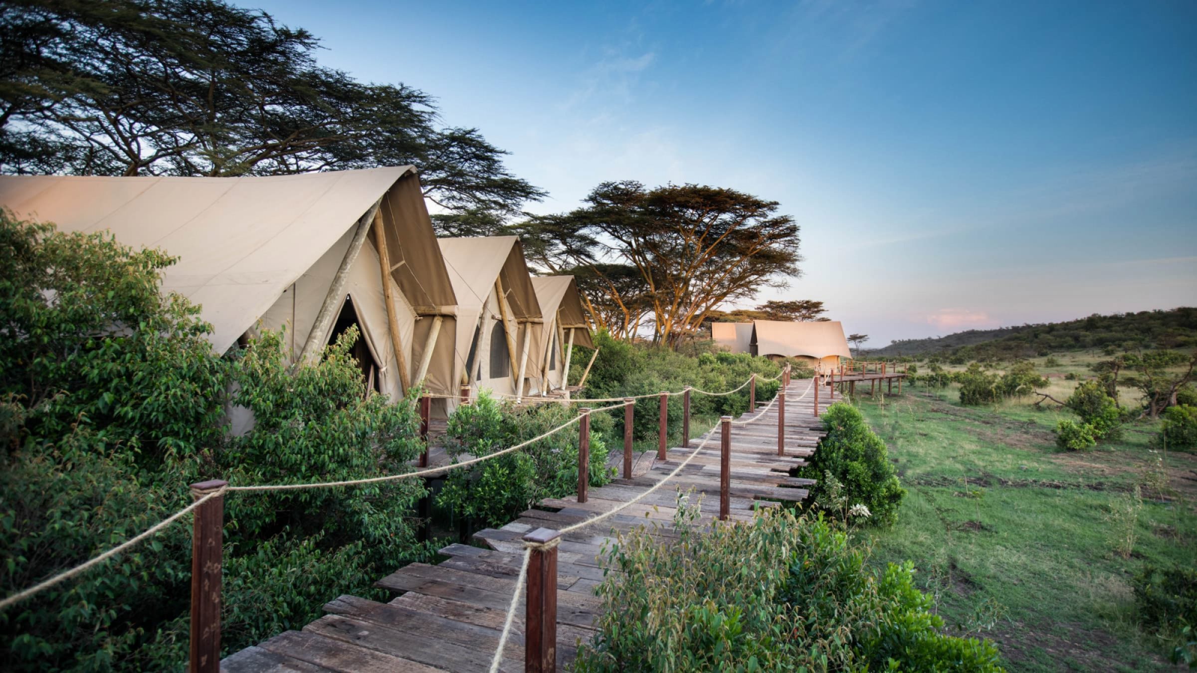 Mara nyika mara nyika camp 2400