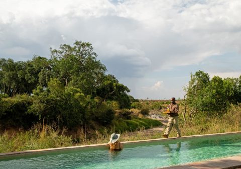 Sand river masai mara infinity pool 1280