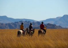 Le jardin du roy horseback riding experience 1280