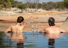 Anderssons at ongava game viewing from the pool 1280