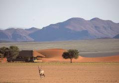 Kwessi dunes exterior of camp 2400