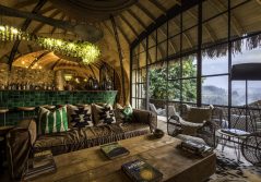 Bisate lodge lounge and view 1280