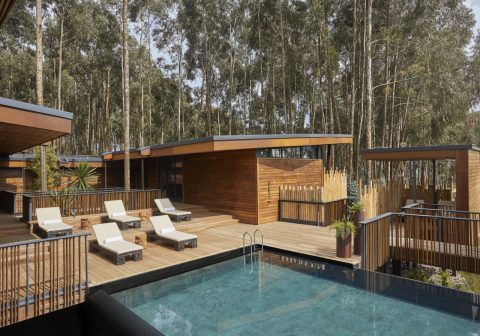 Oneandonly gorillas nest swimming pool and deck 1280