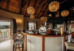 Amakhala hlosi game lodge lodge bar area 1280