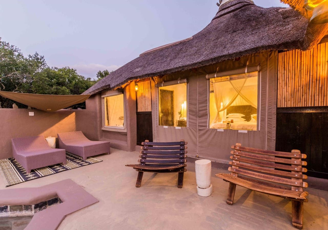 Amakhala safari lodge safari lodge 1280