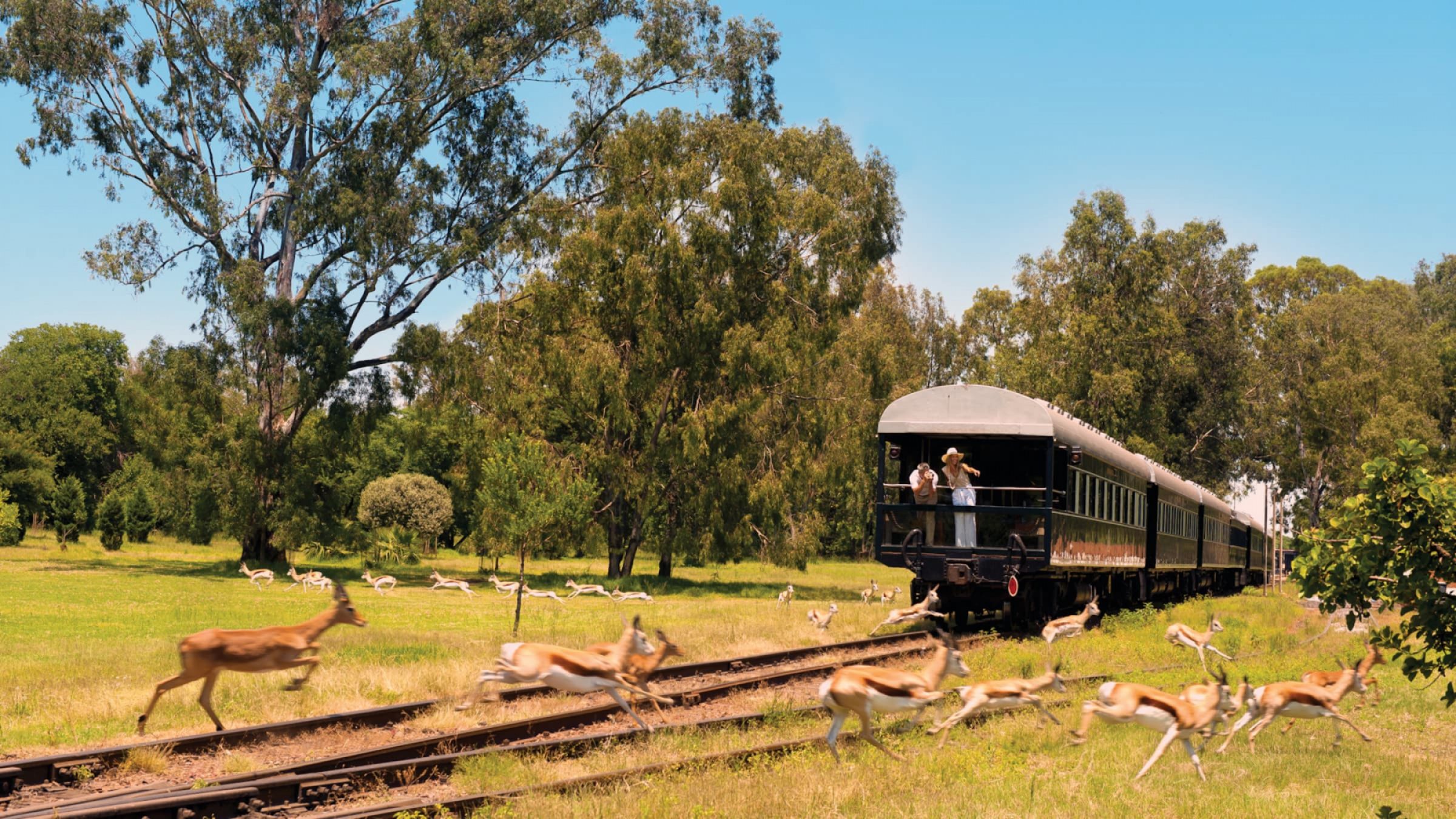 Rovos rail wildlif viewing from the balcony 2400