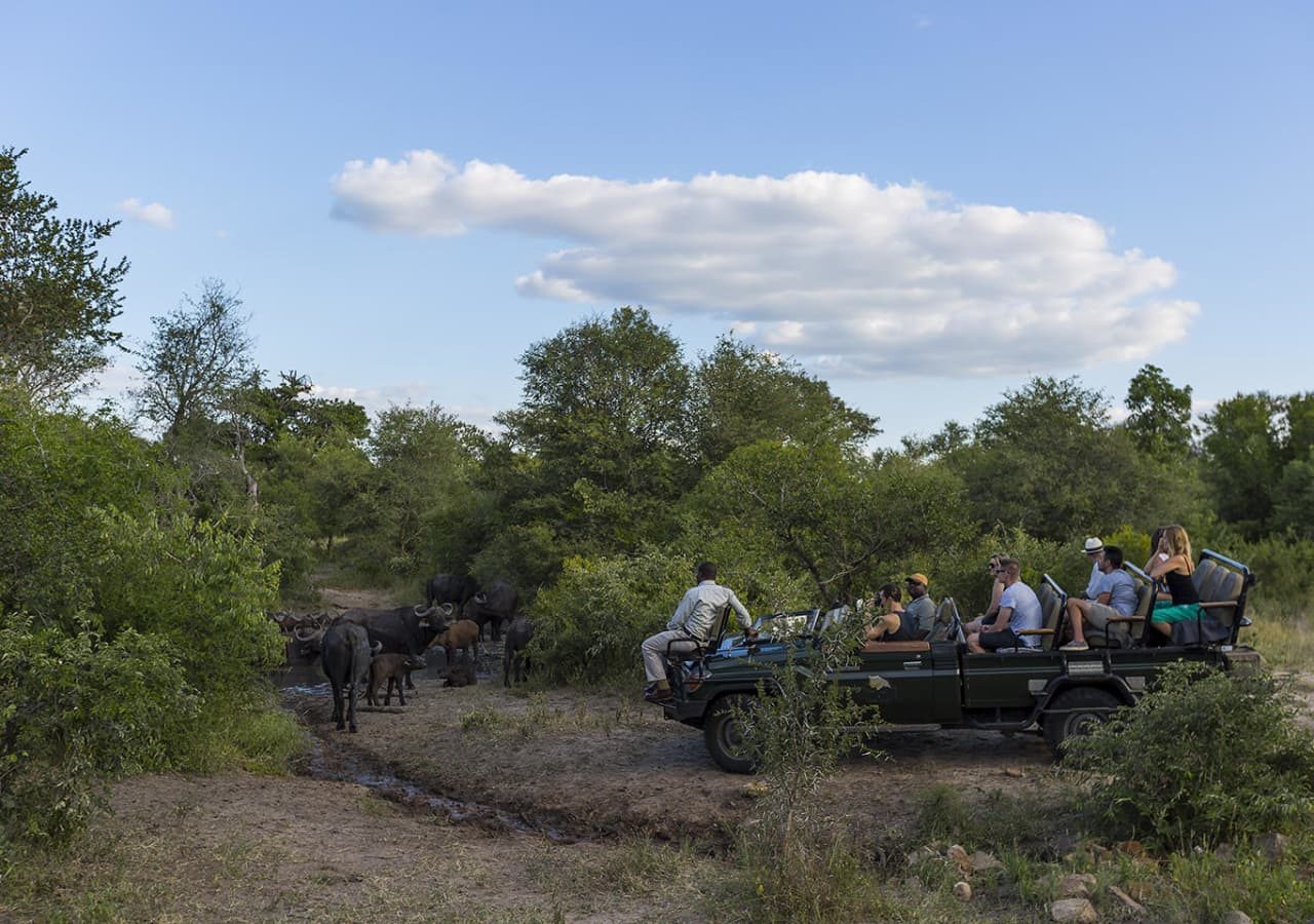 Monwana game lodge game drive 1280