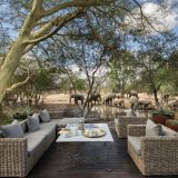 Ngala safari lodge elephants walking by the deck 1280