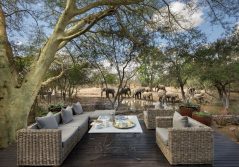Ngala safari lodge elephants walking by the deck 1280