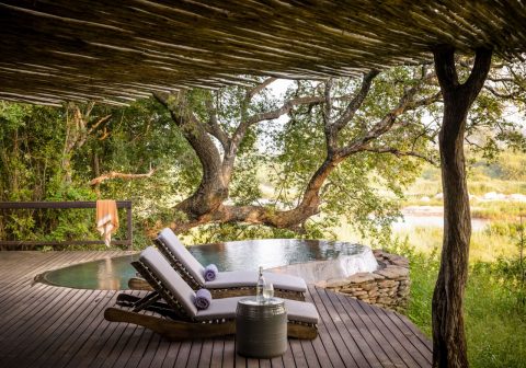 Singita boulders lodge swimming pool 1280