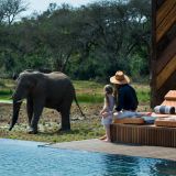 Phinda homestead game viewing from the swimming pool 1280